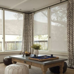 Cortinas Roller Screen
